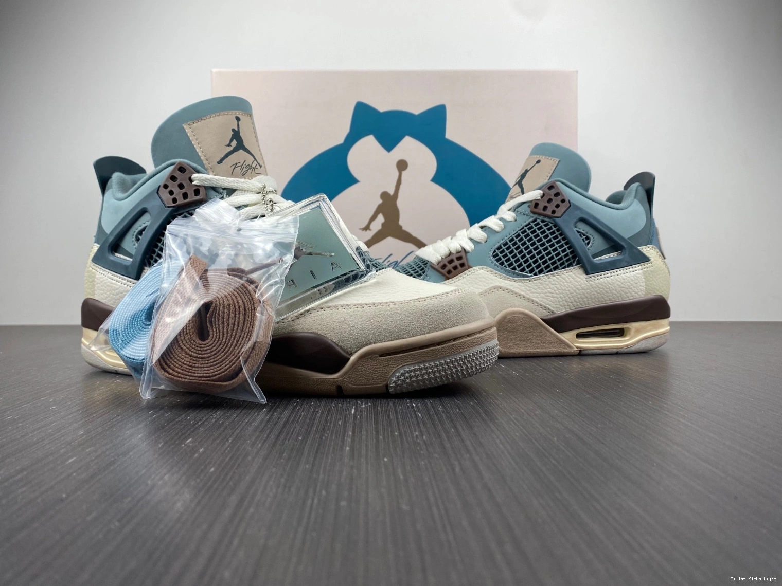 Air Snorlax Jordan 4 Custom 0319